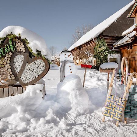 Biobauernhof Brandlhof Apartment Ramsau am Dachstein Luaran gambar