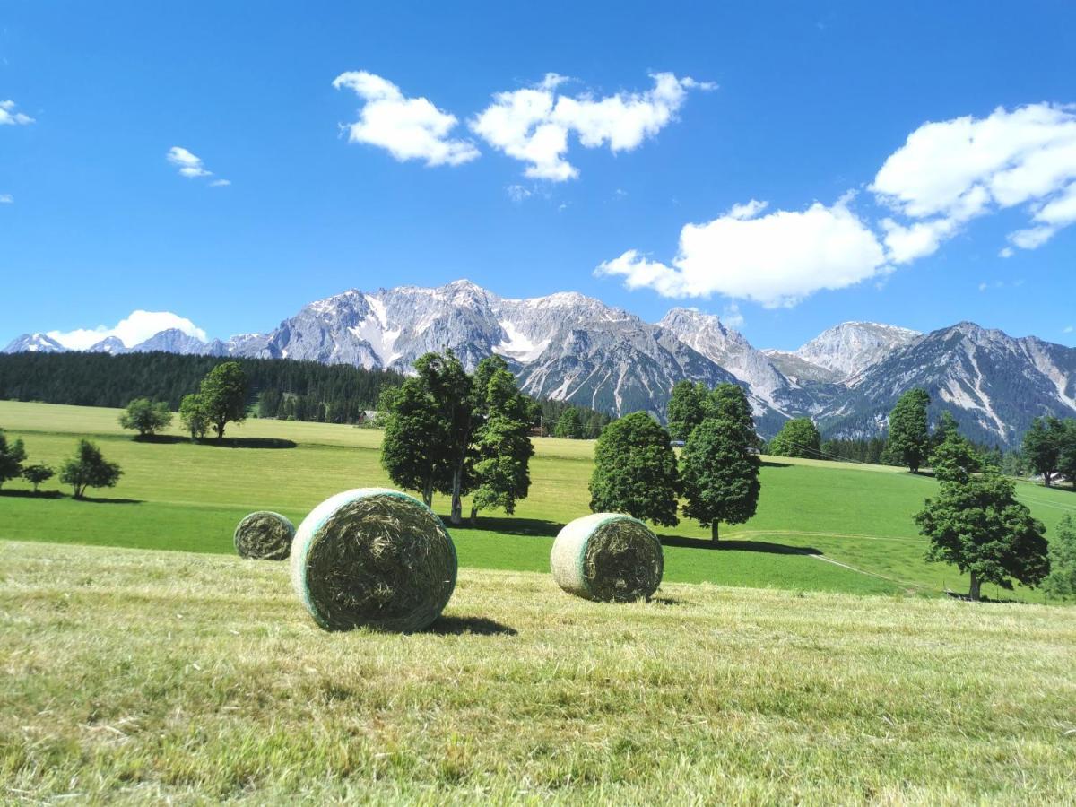 Biobauernhof Brandlhof Apartment Ramsau am Dachstein Luaran gambar