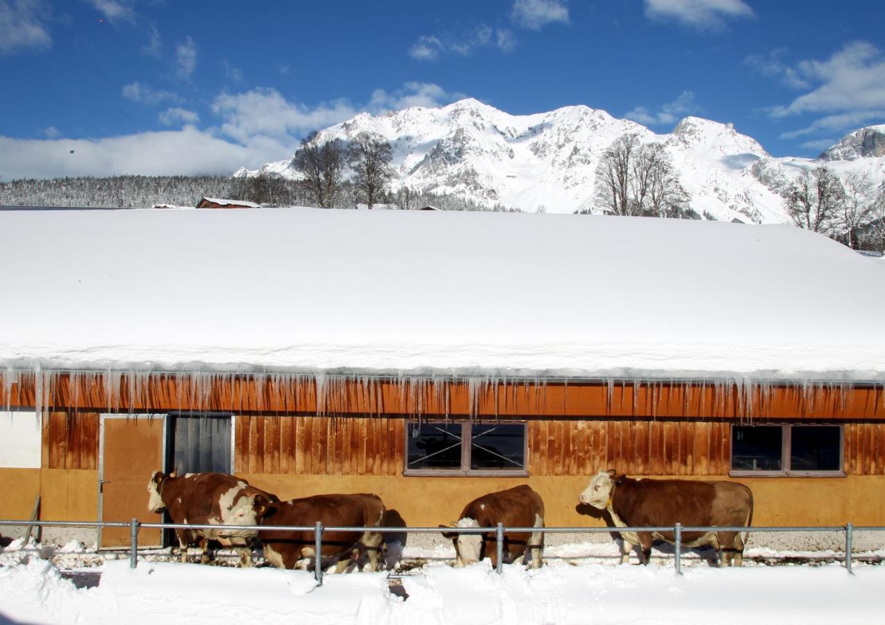 Biobauernhof Brandlhof Apartment Ramsau am Dachstein Luaran gambar