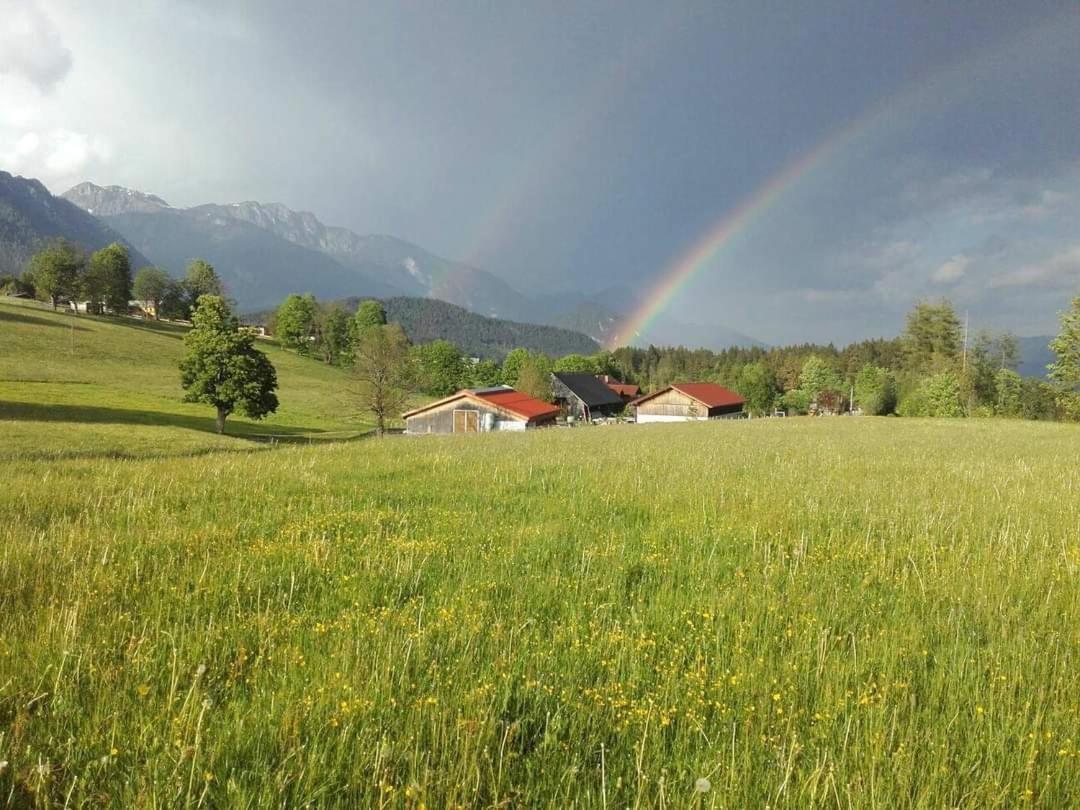 Biobauernhof Brandlhof Apartment Ramsau am Dachstein Luaran gambar