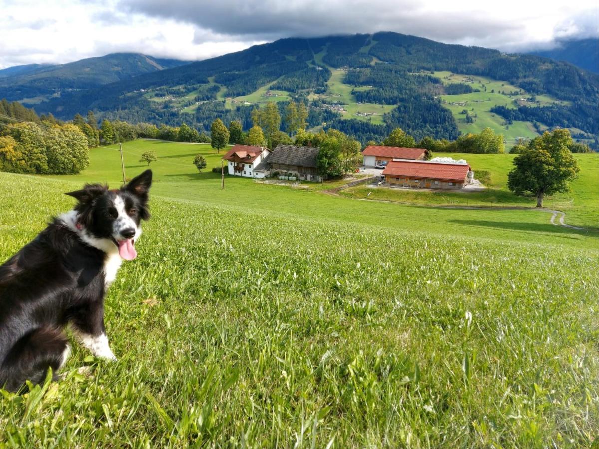 Biobauernhof Brandlhof Apartment Ramsau am Dachstein Luaran gambar