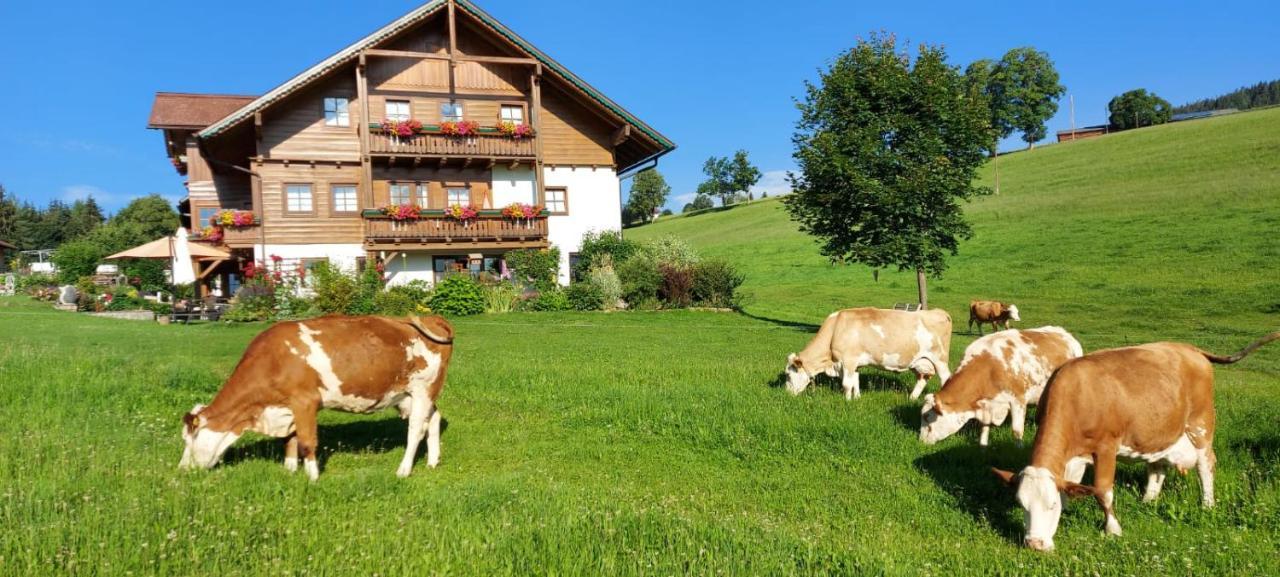 Biobauernhof Brandlhof Apartment Ramsau am Dachstein Luaran gambar