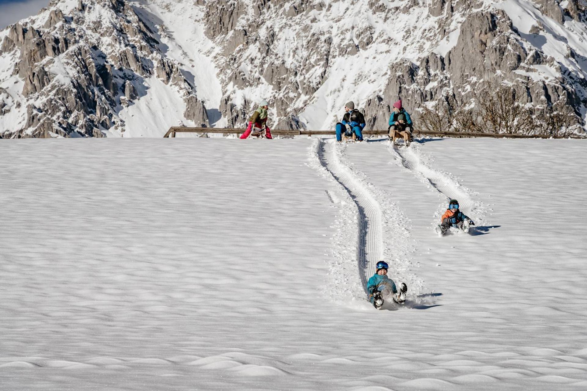 Biobauernhof Brandlhof Apartment Ramsau am Dachstein Luaran gambar