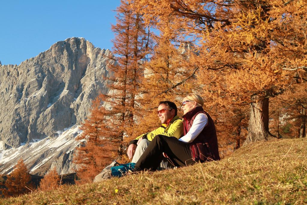 Biobauernhof Brandlhof Apartment Ramsau am Dachstein Luaran gambar